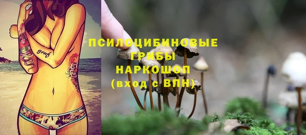 скорость Покачи