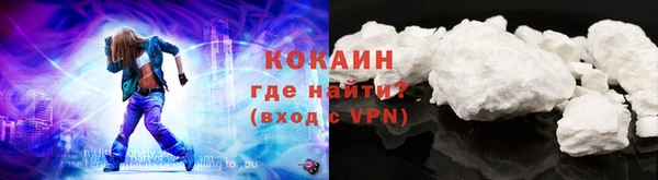 шишки Покров
