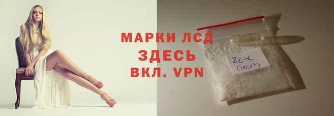 шишки Покров