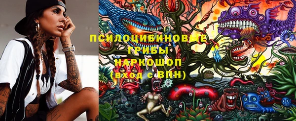 шишки Покров