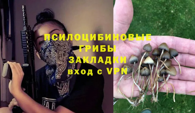 площадка состав  Ейск  Галлюциногенные грибы MAGIC MUSHROOMS 