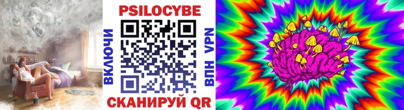 нарко площадка клад  Ейск  Псилоцибиновые грибы Cubensis 