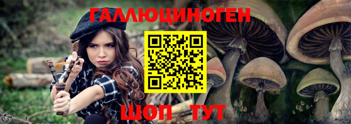 Псилоцибиновые грибы GOLDEN TEACHER Ейск