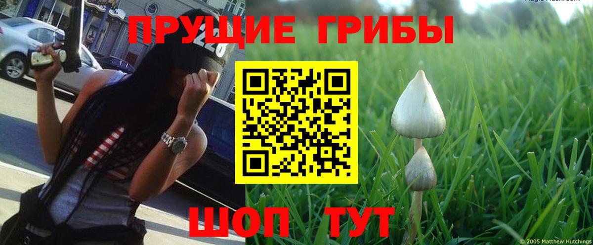 Галлюциногенные грибы прущие грибы  Вход с VPN  Ейск 